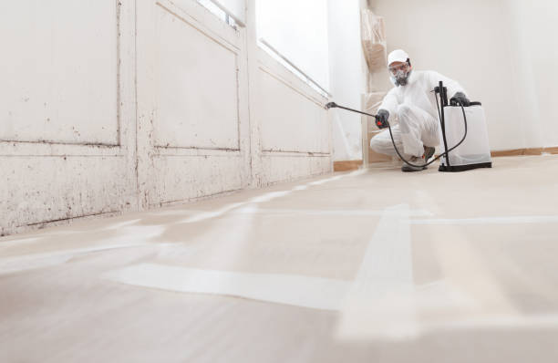 24/7 Emergency Attic Mold Removal experts in Waynesboro, GA